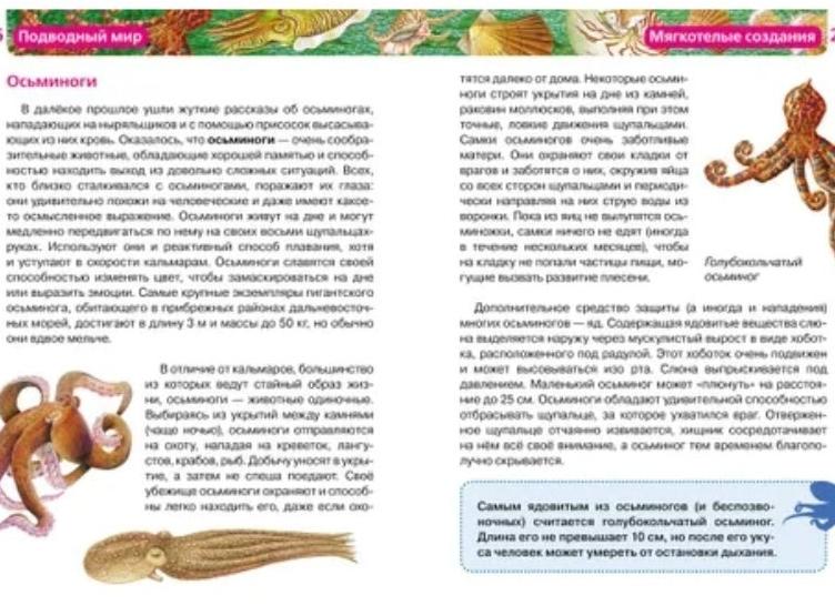 Прогресс ученицы за 5 месяцев на курсе