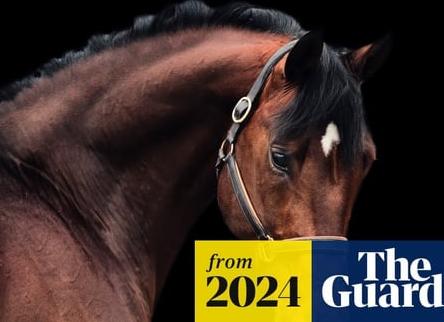 Гении или безумцы? Учёные провели годы в поисках самой бесполезной фигуры